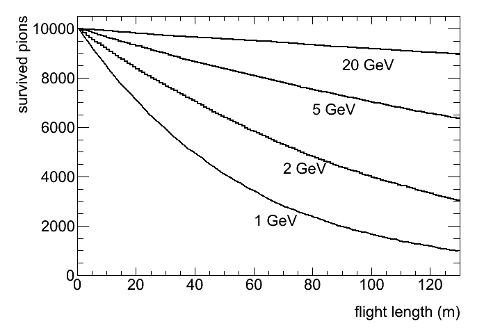 pion_flight2.png